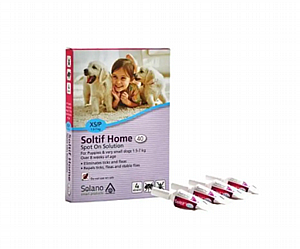 SOLANO מארז 4 אמפולות סולטיף הום 1.5-7 ק"ג XS 4 יחידות SOLANO מארז 4 אמפולות סולטיף הום 1.5-7 ק"ג XS 4 יחידות